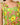 Wild Meadow Print (4 Items)